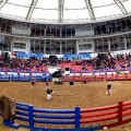 _DSC4316 복사.jpg