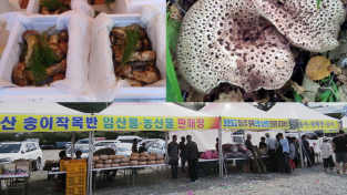 운문산 버섯 축제 개최2.PNG